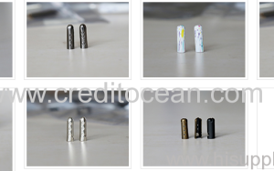Credit Ocean Plastic Aglet